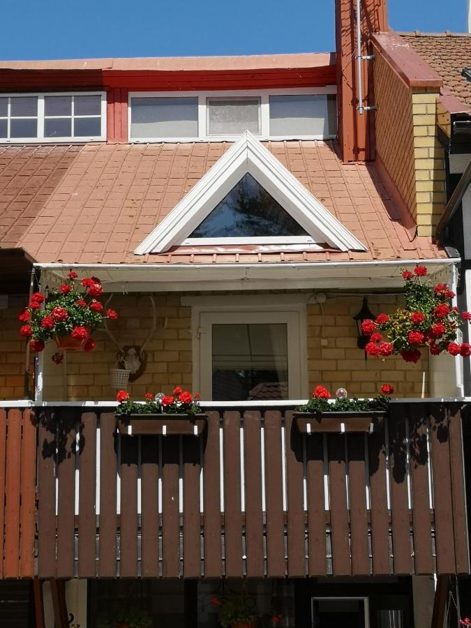 Mini Kotedzas Vakaris Apartman Nida Kültér fotó
